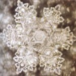 love-emoto-crystal